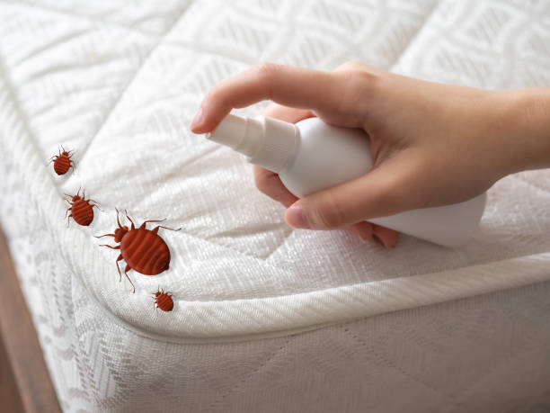 Best Bed Bug Extermination  in Caledonia, MS